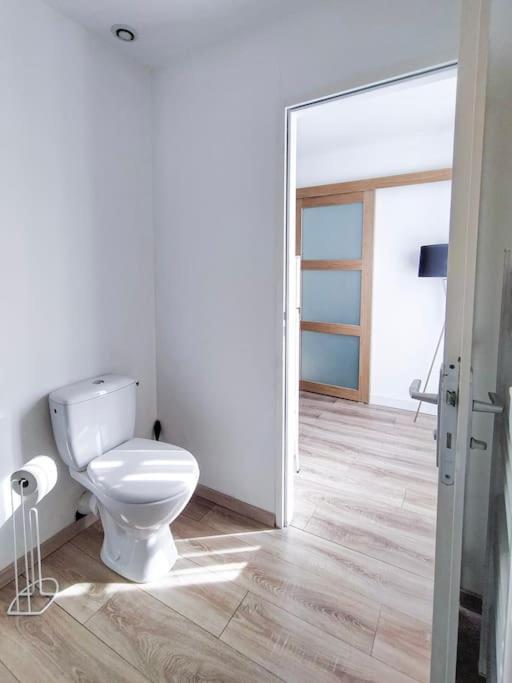 Apartament L'Isere Depuis Les Quais Romanais Romans-sur-Isère Zewnętrze zdjęcie